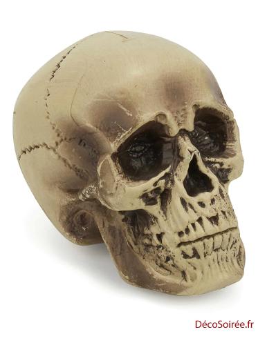 crâne plastique halloween