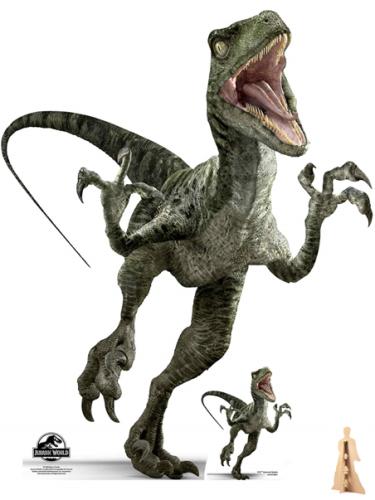 dinosaure geant en carton raptor
